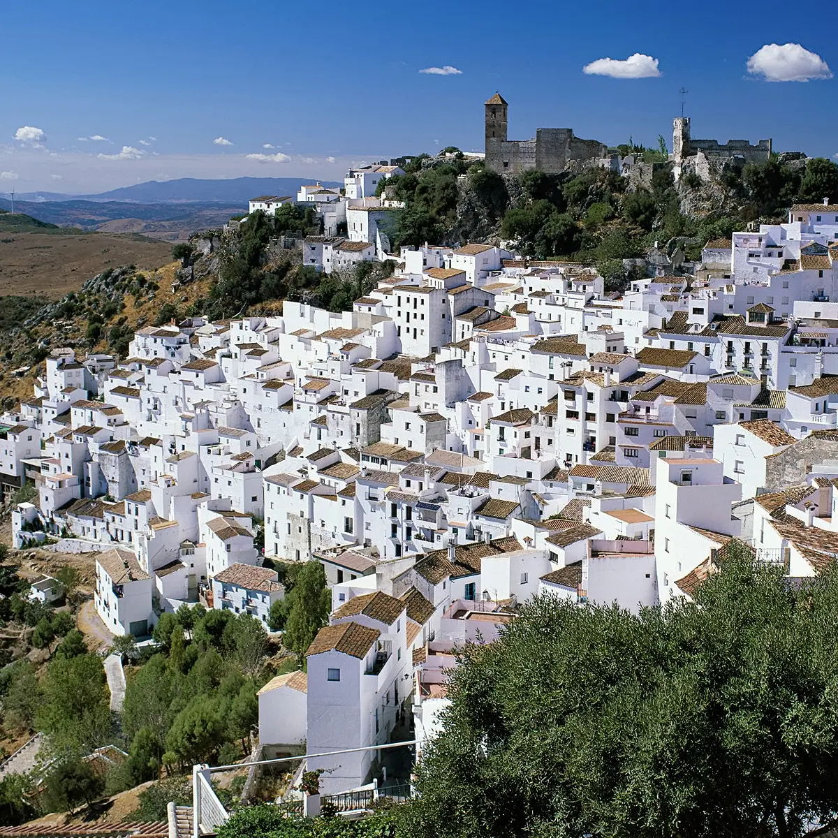 Casares (21km) - Arguably one of the prettiest towns in Malaga province, built by order of Julius Cesar. Visit its castle remains for a jaw-dropping panoramic view.