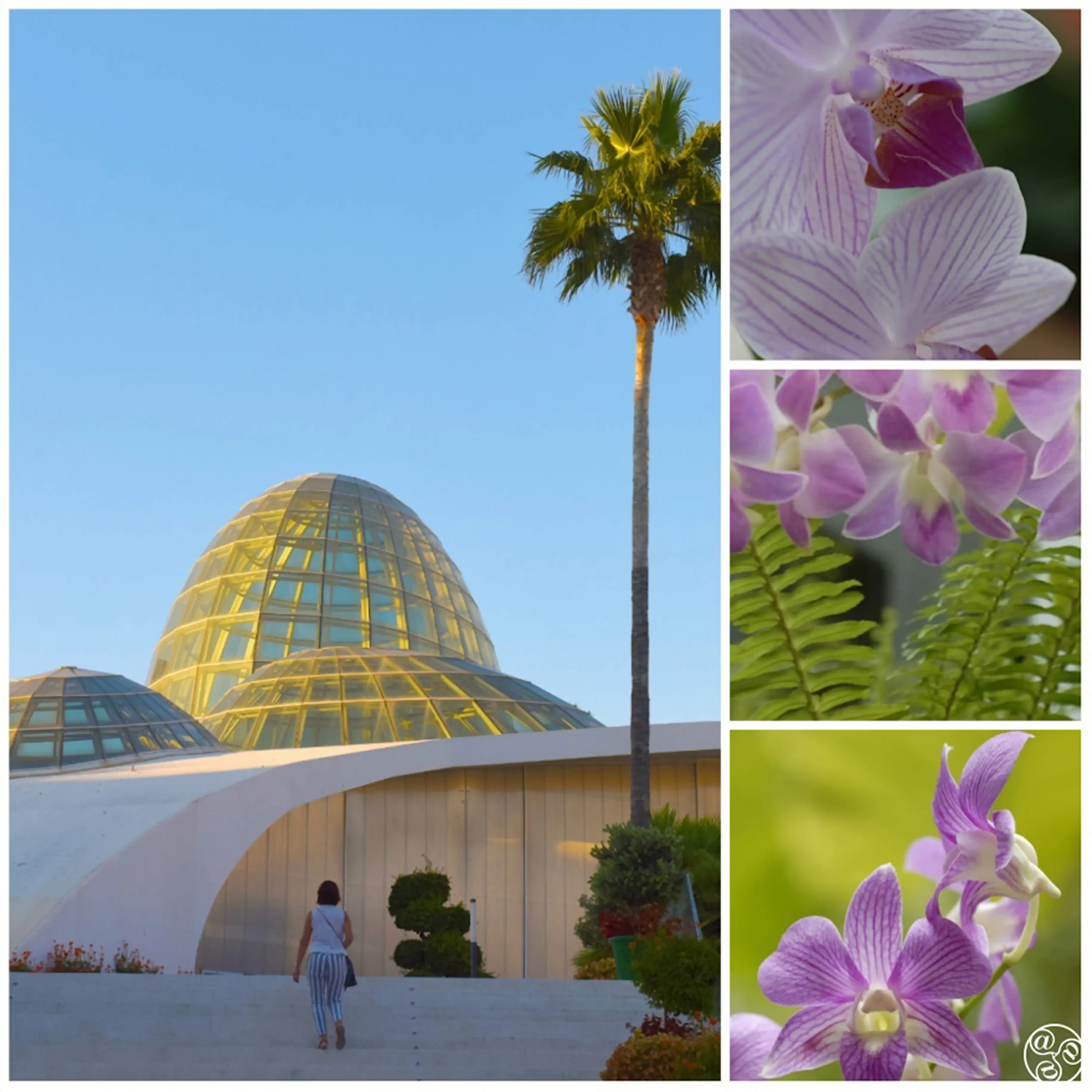 Estepona / Botanical garden (17km) - 5000 plants featuring 300 different species. Regardless of season, expect to see exhibions full of blooming flowers. It's considered the largest collection in Europe.